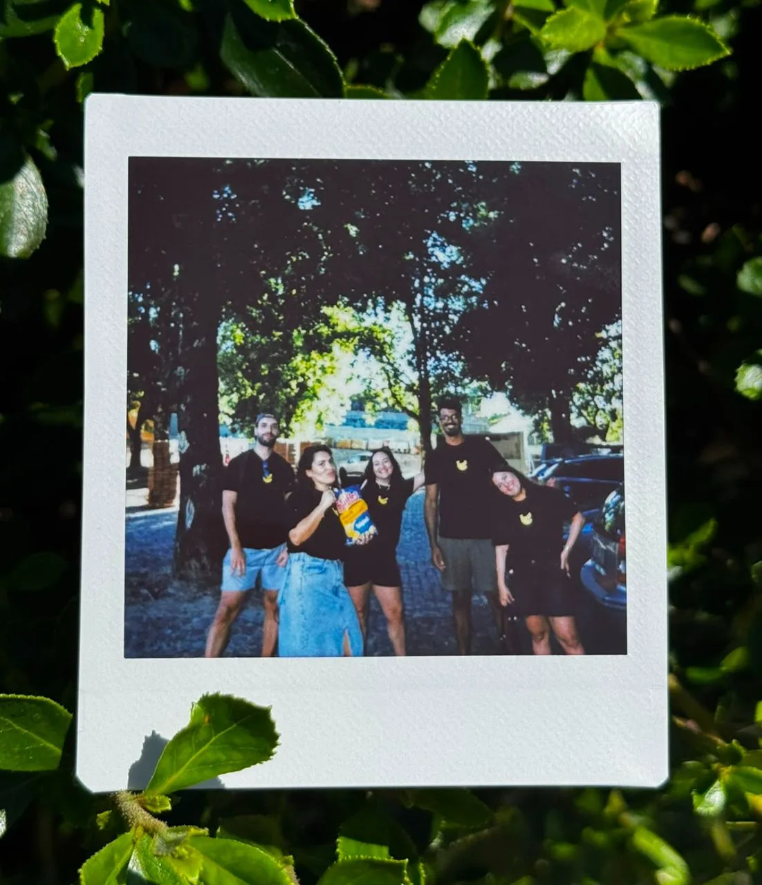 Instant photo of the BananaSplit team after the campaign